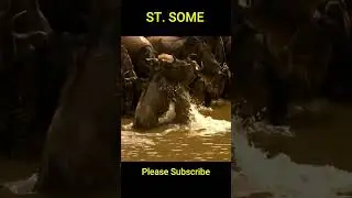 Crocodile attacks Wildebeest while drinking water #shorts #Crocodile #Wildebeest