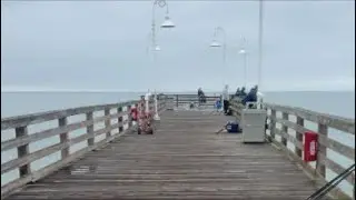 Fishing 𝐀𝐝𝐯𝐞𝐧𝐭𝐮𝐫𝐞𝐬 𝐰𝐢𝐭 𝐈 𝐏𝐚𝐭𝐭𝐚 is live! Pier fishing