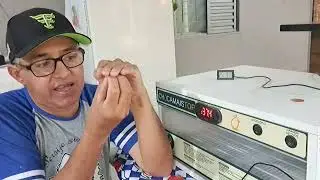 OS MAIORES PROBLEMAS DE UMA CHOCADEIRA.