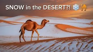 Why It Sometimes SNOWS in the Sahara Desert!