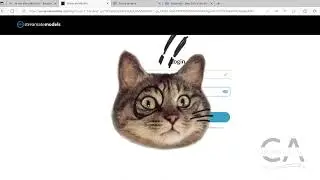 Verifica tu cuenta Streamate