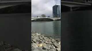 Chevron Island 🏝️Bundall 🌉Bridge Reserve (QLD)Australia 😍amazing view