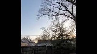 Frisby Hunter .. Hawk 