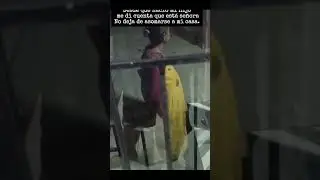 EL VIDEO MAS TERROR&Iacute;FICO  QUE VERAS #paranormal #demonios #miedo