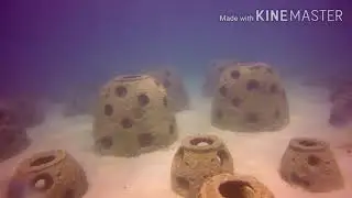 Dive in Masbate (Reefball deployment) commercial diving part 2