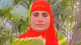 AKLIMA मछली