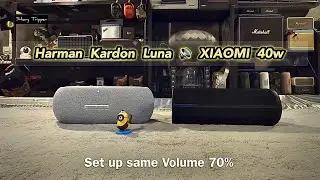 Harman Kardon Luna vs Xiaomi 40w. Portable Speaker