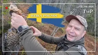 Polowanie na kuraki leśne z Avenatura