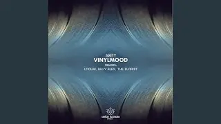 Vinylmood (Original Mix)