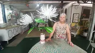 Margaridão com Garrafas pet | Vó Neide e suas pets