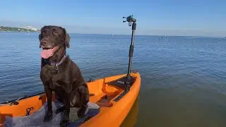 Lab, Lake, Kayak, Koffee &ndash; Hobie Mirage Compass Duo with Pedal Drive on Lake Erie