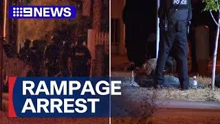 Alleged fast food robbery leads to hours-long siege | 9 News Australia