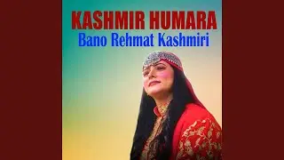 Kashmir Humara
