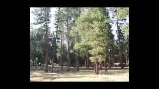 Restoring Fire-Adapted Forests in Oregon Using LANDFIRE Data (Archived video)