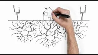 Sentricon&reg; Termite Colony Elimination System