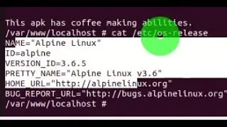 Check alpine linux version in running container