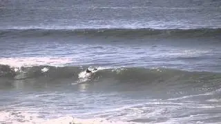 Miles Miller Shred Sesh
