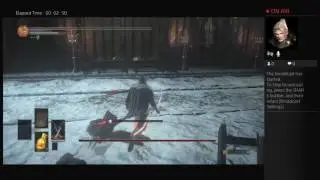 Dark souls 3 ashes of ariendal