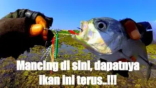 Ultra light casting microjig 5 gram || Full strike ikan GT bak mancing mania