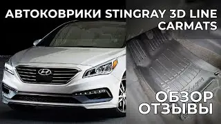 Комплект 3D ковриков в салон автомобиля Hyundai Sonata (LF) (2014-2019) (5009085)