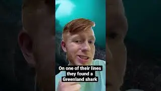 Is this shark not where it&rsquo;s supposed to be? 🤔🦈 #shark #sharkweek #shorts