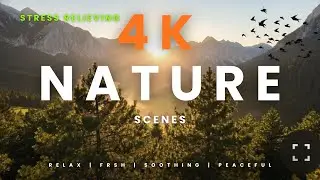 4K Stress Relieving Nature Scenes || Mind Relax || #natue#morning #sunset  #stressrelief#relax#peace