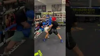 Gunshot like body shot drops sparring partner.   Curmel Moton Mayweather prospect sparring footage