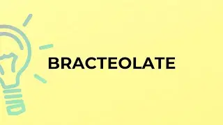 What is the meaning of the word BRACTEOLATE?
