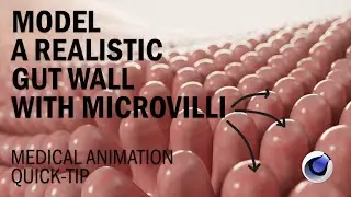 Model Microvilli in Seconds with C4D MoExtrude | Biomedical Animation Quick-Tip