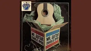 Funky Flamenco