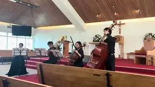 Nice music!!! Auckland Mozart Player