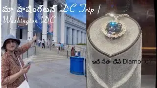 మా వాషింగ్టన్ DC ట్రిప్ | WashingtonDC Trip |  ఇది సీతా దేవి వజ్రమా?