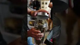 🌿 CANNAFRIENDS 2024 &ndash; Tag 1 🌿  #conference #festival #expo