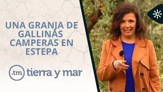 Tierra y Mar | Visita la única granja de gallinas camperas de Estepa