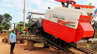 Full Processing Operation Harvester Unloading Tractor To Cropping Rice At Farm Cambodia