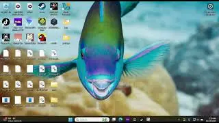 Windows Command Trick! WINDOWS 11 CMD TRICK!