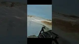 Традиционная русская охота на зайца #hunting #chass #wildhunting #hunter #hunter #охотанакроликов