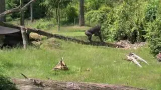 DroomParken Beekbergen