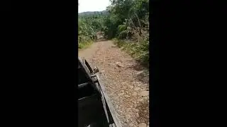 jalan bekas tambang batu bara di seluma rusak berat