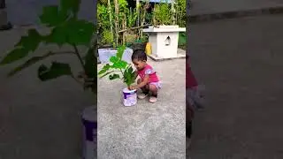 baby planting baby plant 🌱