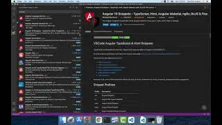 Angular Tutorials #1: Setup Development Environment; Create Your First Project in Visual Studio Code