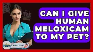 Can I Give Human Meloxicam To My Pet? - Ask A Pet Vet