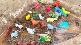 Cleaning toy 🧸 crab,dog, 🐏 sheep, horse, swan,cow, goat 🐐|| toyworld ||