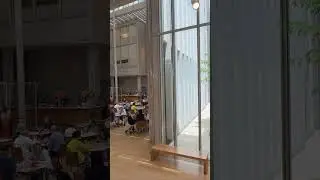 ✨ Inside the Morgan Library: Renzo Piano's Masterpiece & Rare Treasures 🎨