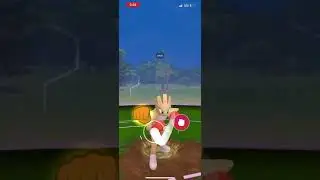 Soloing Serria with hitmonchan. 96% shadow geodude