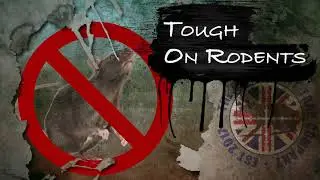 Rodexit Rodent Proofing for Restaurants and Food Industry.