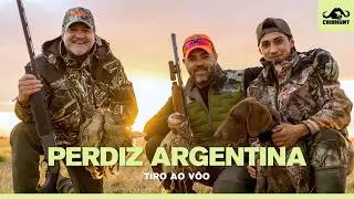 Perdiz na Argentina