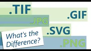 The Different Image Types