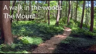 Berkshires walk in the woods - The Mount Edith Wharton's home in Lenox Massachusetts