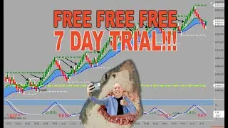 JOIN OUR 7 DAY FREE TRIAL-THIS IS YOUR TIME TO RISE, BUILD & COMMAND CONTROL www.tradewithsteven.com